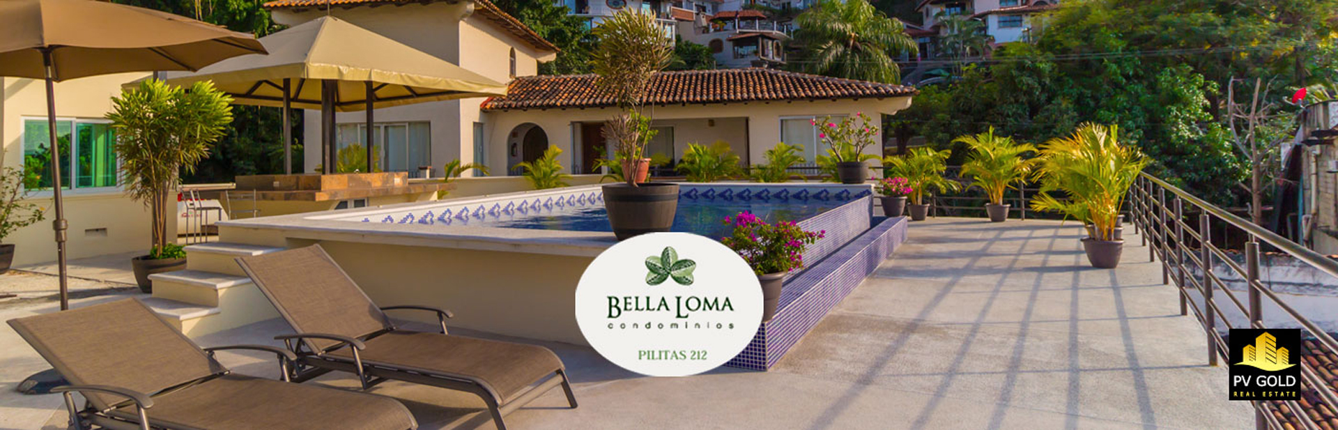 Bella Loma Terrace